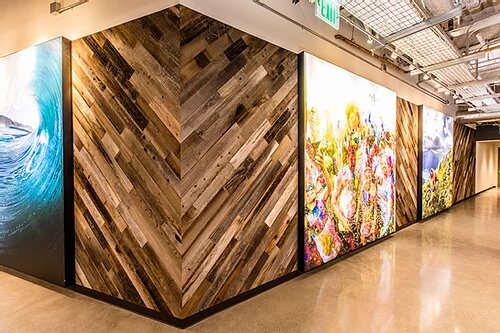 Rewoodd Reclaimed Redwood: Aged Bella Colors - Image 11